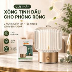 Máy Xông Khuếch Tán Tinh Dầu Puressentiel VERA Pháp Không Nước, Phòng Đến 120m², Tự Ngắt 1H