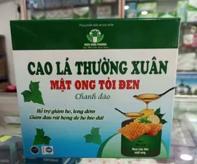 Cao lá thường Xuân mật ong tỏi đen hộp 30 gói, giảm ho hiệu quả
