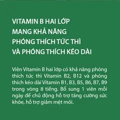 Thực phẩm bảo vệ sức khỏe nutrilite™ vitamin B dual-action 797046
