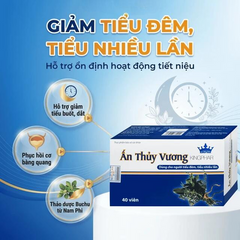 Viên uống giúp bổ thận, giảm tiêu đêm tiểu ngày nhiều lần Ấn Thủy Vương Kingphar (4 vỉ x 10 viên)