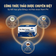 Viên uống giúp bổ thận, giảm tiêu đêm tiểu ngày nhiều lần Ấn Thủy Vương Kingphar (4 vỉ x 10 viên)