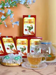 COMBO 10 HỘP TRÀ CỎ MÁU Hàng chính hãng