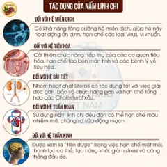 [Xuất Kèm VAT] Tiên Thảo Chi Vinacacao - Thùng 30 Hộp Tăng Cường Sức Khỏe Mỗi Ngày