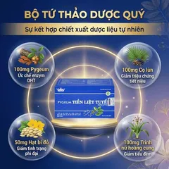 Viên uống hỗ trợ cho người phì đại tiền liệt tuyến Pygeum Tiền Liệt Tuyến Kingphar (4 vỉ x 10 viên)