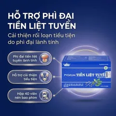 Viên uống hỗ trợ cho người phì đại tiền liệt tuyến Pygeum Tiền Liệt Tuyến Kingphar (4 vỉ x 10 viên)