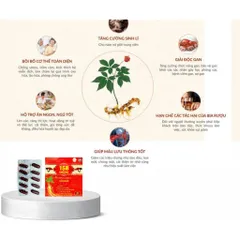 15B GINGSENG nhân sâm tăng cường sức khoẻ đề kháng bệnhh do virus