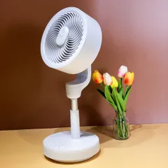 Quạt tích điện Danmi nội địa Hàn - Màu trắng