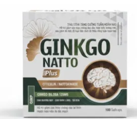Ginkgo Natto Plus Vinaphar