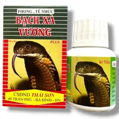 Viên uống xương khớp Phong tê nhức bạch xà vương Plus - Hộp 40 viên - Xuất xứ Việt Nam - Mã số 2151