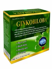 GINKOBILOBA Hỗ Trợ Lưu Thông Tuần Hoàn Não - Hộp 100 viên