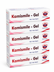 Gel Bôi Nhiệt Miệng Kamismile Gel - Tuyp 10 Gram