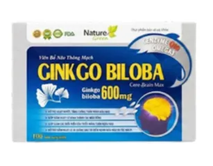Ginkgo biloba 600mg hỗ trợ hoạt huyết, tăng cường tuần hoàn máu não