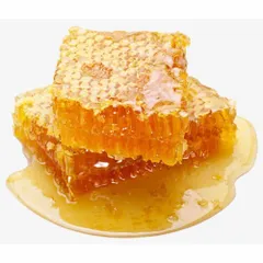 [ XẢ KHO date 24/07/2025 ] Mật ong Kirkland Raw Organic Honey Bear 680g MỸ