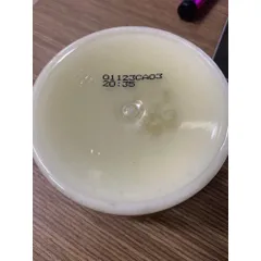 Beloved Cherry Blossom & Tea Rose Body Scrub (Tẩy tế bào chết toàn thân hương hoa anh đào và trà hồng Beloved) 283gr
