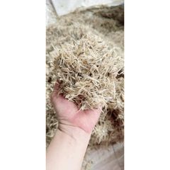 KHÔNG CẦN BẢO QUẢN LẠNH Cá mờm cơm ( sữa) loại 1 chuẩn Quảng Bình, 500gm
