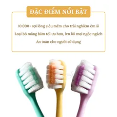 [ HÀNG VIỆT NAM ] Bàn Chải Đánh Răng Lông Mềm KAKA - Làm Sạch Sâu, Bảo Vệ Nướu Hiệu Quả - Sản Phẩm Vệ Sinh Răng Miệng.