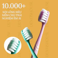 [ HÀNG VIỆT NAM ] Bàn Chải Đánh Răng Lông Mềm KAKA - Làm Sạch Sâu, Bảo Vệ Nướu Hiệu Quả - Sản Phẩm Vệ Sinh Răng Miệng.