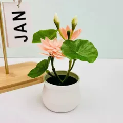 Chậu hoa sen giả trang trí phòng - bằng nhựa kích thước khoảng 12*10cm