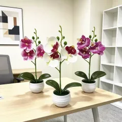 Chậu hoa lan giả deco không gian sống bằng nhựa kích thước khoảng 25*12cm