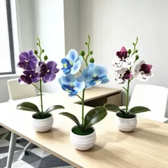 Chậu hoa lan giả deco không gian sống bằng nhựa kích thước khoảng 25*12cm
