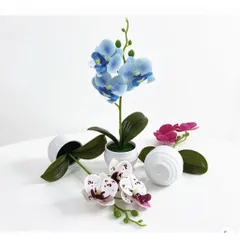 Chậu hoa lan giả deco không gian sống bằng nhựa kích thước khoảng 25*12cm