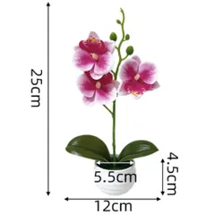 Chậu hoa lan giả deco không gian sống bằng nhựa kích thước khoảng 25*12cm