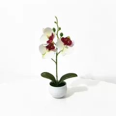 Chậu hoa lan giả deco không gian sống bằng nhựa kích thước khoảng 25*12cm