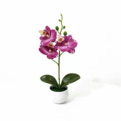 Chậu hoa lan giả deco không gian sống bằng nhựa kích thước khoảng 25*12cm