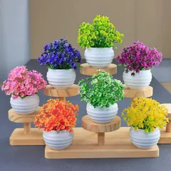 Chậu hoa nhựa nhiều màu trang trí kích thước 8*10 cm