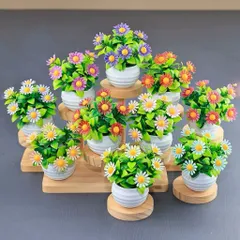 Chậu hoa cúc nhiều màu bằng nhựa trang trí phòng kích thước 8*8cm