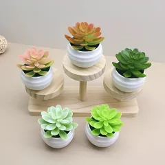 Chậu sen đá giả mini trang trí bằng nhựa kích thước 7*7.5cm
