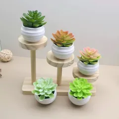 Chậu sen đá giả mini trang trí bằng nhựa kích thước 7*7.5cm
