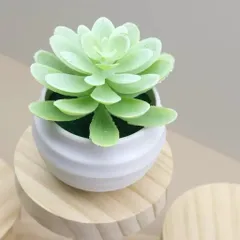 Chậu sen đá giả mini trang trí bằng nhựa kích thước 7*7.5cm