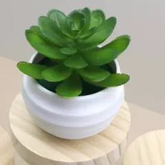 Chậu sen đá giả mini trang trí bằng nhựa kích thước 7*7.5cm