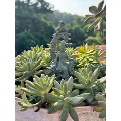 Tượng Thuỷ Nguyệt Quan Âm đá sa thạch kích thước 17,5*8,2 cm - Deco bàn trà,bể cá,chậu cây,terrrium…