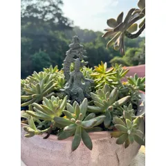 Tượng Thuỷ Nguyệt Quan Âm đá sa thạch kích thước 17,5*8,2 cm - Deco bàn trà,bể cá,chậu cây,terrrium…