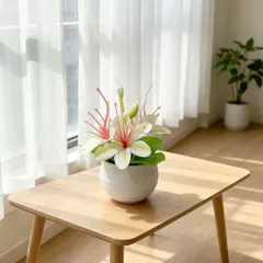 Chậu hoa Nhài giả deco trang trí phòng bằng nhựa kích thước khoảng 11.5cm*10cm