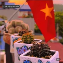Chậu gốm vuông hoa văn nổi trồng sen đá ,xương rồng, kích thước 6.8*6.8 cm