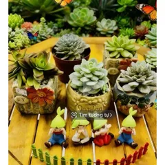 Chậu gốm sứ cao cấp trồng sen đá, xương rồng siêu đẹp kích thước 6*8 cm (bạn chọn mẫu,shop sẽ giao màu mẫu ngẫu nhiên)