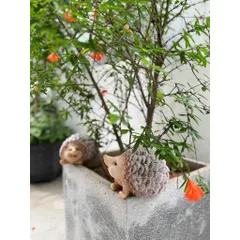 MÔ HÌNH NHÍM TRANG TRÍ SÂN VƯỜN BẰNG NHỰA – SIZE LỚN 18CM 🦔