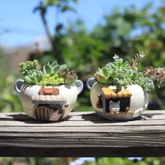 Chậu deco mèo và cáo dễ thương chất liệu Resin cao cấp- trồng sen đá,xương rồng,làm hộp bút,deco phòng,làm quà tặng…