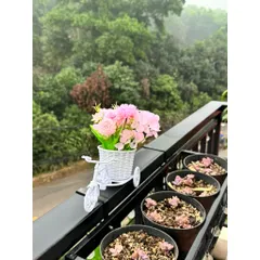 Xe đạp chở hoa siêu đẹp kích thước 18*12*21 cm trang trí,deco