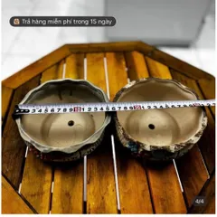 Chậu gốm trồng cây chất lượng cao đường kính 16 cm