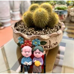 Chậu Cây Xương Rồng Bóng Vàng bụi– Chậu Gốm Decor Bàn Làm Việc, Bàn Học