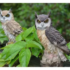 MÔ HÌNH CÚ MÈO TRANG TRÍ BẰNG NHỰA CAO CẤP – DECOR TIỂU CẢNH SẮC NÉT 🦉 kích thước 12*8*8