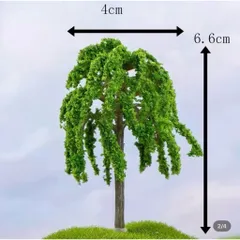 Cây liễu mini trang trí tiểu cảnh,terrarium kích thước 6,6*4cm