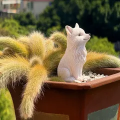 🦊 Mô hình cáo mini trang trí – dễ thương, tinh tế cho không gian sống kích thước 11.5*8cm