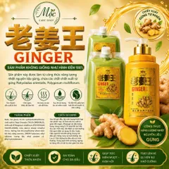 Dầu gội Gừng ngăn rụng tóc Nóng hoặc Lạnh - 1000g giảm gàu lưu thông khí khuyết đau đầu mất ngủ
