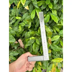 Thước Vuông Góc Inox 45 Độ Đa Năng – Thước Ê Ke Cơ Khí Đo Góc Chính Xác, Chống Gỉ Sét