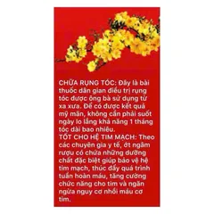 rượu ớt ngăn ngừa đột quỵ, máu đông chai 250ml